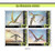 Djibouti - 2020 Flying Dinosaurs - 4 Stamp Sheet - DJB200412a