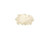 Brewmaster - AJ50E Adjunct - Belgian Candi Sugar -Clear- -1 lb-