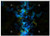 Triple Blank Wall Plate Cover - Fantasy Abstract Background Image Colorful Splitter