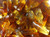 Cola Bottles - 227g -half pound-