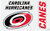 Carolina Hurricanes NHL Die Cut Team 3 Magnet Set Sheet