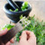 Stainless Steel Herb Stripper, Kale and Herb Stripping Tool/Vegetable Leaf Remover/Separator, Kitchen Gadgets