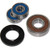 Caltric Rear Wheel Ball Bearings  and  Seals Kit Compatible with Suzuki Vz800 Vz-800 Marauder 800 1997-2004