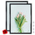 ZOCOLOR 5x7 Classic Metal Photo Frame, Aluminum Picture Frame with Plexiglass, Wall Hanging or Tabletop Display -Black, 2-Pack-