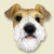 Wire Fox Terrier Magnet