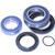 Caltric Rear Wheel Ball Bearings  and  Seals Kit Compatible with Yamaha Kodiak 400 Yfm400 Yfm-400 2Wd 2000 2001