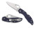 BYRD Meadowlark2 Folder 2.9 in Plain Blade Blue FRN Handle