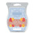 Scentsy Sugar Bells Bar Wax Tart 3.2 fl oz 8 Squares