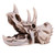 Thometh Model-Resin Dinosaur Triceratops Skull Model Simulation Skeleton Home Teaching Office Display Decoration Craft Gift