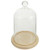 DOITOOL 1 Set Glass Cloche Bell Jar Display Dome with Wood Base Micro Landscape Glass Dome Cake Display Cover Preserved Flower Cloche Cover