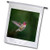 3dRose USA, WA. Male Annas Hummingbird, displays its Gorget While Hovering. - Flags -fl-332615-1-