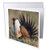 3dRose Danita Delimont - Birds - Sage Grouse, Courtship Display - 6 Greeting Cards with envelopes -gc-313966-1-