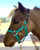 Star Point Horsemanship Mini-Pony Leather Crown Stable Halter -Purple, Medium Mini 29-32"-