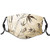 Activated carbon filter Windproof mask for Unisex,Gradient Bamboo Leaves Flexibility Complex Root Structure Stable Travelers Image