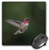 3dRose USA, WA. Male Annas Hummingbird, displays its Gorget While. - Mouse Pads -mp-332615-1-