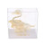 LoveinDIY Pigeon Model Skeleton Animals Study Display Teaching Aids Teaching Model