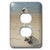 3dRose LLC lsp-23233-6 Female Swan At Beach, 2 Plug Outlet Cover