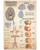 TIME CITY Cerebral Blood Knowledge Poster Blood Supply of The Brain, Brain System  and  Spinal Cord Canvas Wall Art Abstract Home Decorations for Living Room Decor Motivational Posters