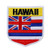State Flag Shield Hawaii Patch Badge Travel USA Embroidered Iron On Applique