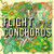 Flight Of The Conchords