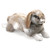 Folkmanis Holland Lop Rabbit Hand Puppet