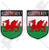 WALES Cymru Welsh Shield Britain UK 75mm -3"- Vinyl Bumper Stickers- Decals x2