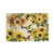 Sunflower Placemats Set of 4 Butterfly Sunflower Table Mats Sunflower Kitchen Decor Summer Sunflower Place Mats for Dining Table Sunflower Beige Placemats Heat Resistant Summer Placemats 12 X 18 Inch