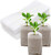 Seed Nursery Bags- Biodegradable Non-Woven Nursery Bags- Plant Grow Bags- Fabric Seedling Pots- Courtyard Garden Supply -100 Pcs-