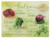 Abbey Gift -Abbey  and  CA Gift Salsa Recipe Cutting Board- Multicolor