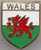1000 Flags Wales Welsh Dragon Shield Flag Badge