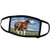 3dRose Horse - Champion Paint Quarter Horse - Face Covers -fc-3536-2-