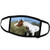 3dRose Horse - Paint Horse - Face Masks -fm-4587-3-