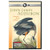 American Masters: John James Audubon: Drawn From Nature