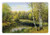 Lunarable Forest Pet Mat for Food and Water- Birch Tree Forest in Autumn Leafless Branches Calm River Oil Paint Effect- Rectangle Non-Slip Rubber Mat for Dogs and Cats- Green and Pale Blue