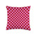 Checkerboard Pattern Picnic Party Checkerboard Pattern Pink and Red Check Print Throw Pillow- 16x16- Multicolor