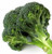 Broccoli Calabrese 25 Heirloom Seeds Non GMO Jacobs Ladder Ent.