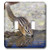 3dRose Danita Delimont - Mammals - Townsends Chipmunk- drinking at a rain water pool - double toggle switch -lsp-315174-2-