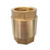 DYNWAVE Female Threaded Air Gas Water Non-Return One Way Check Valve 2 ''