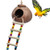 Hovico Coconut Bird Nest with Ladder Bird Toy- Hanging Coconut Shell Bird Nest for Parakeets- Reusable Grass Woven Parakeet Breeding Cave- Handmade Hanging Bird Nest Cage