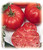 Tomatoes- Beefsteak Tomato 50 Seeds - Impressive - Non-GMO- USA Product. Packed by JACOBS LADDER ENT.