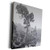 3dRose Danita Delimont - Trees - Australia- Tasmania- Cradle Mountain National Park Wombat Pool - Museum Grade Canvas Wrap -cw-226211-1-