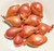 Kejora Shallots Bulbs -Jumbo Size- - 1/2 lb - about 4-6 big bulbs - Produce of USA -Not for Planting