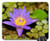 Mouse Pad - Pool Flora Nature Leaf Lotus Flower Blooming Zen