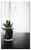 Single-Gang Blank Wall Plate Cover - Plant Bonsai Table Glass Soil Cactus Green Thorn