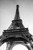 Eiffel Tower Paris France in Black and White Photo Photograph Cool Wall Decor Art Print Poster 24x36