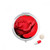 Red Big-Sized Roses Flowers Pill Case Pocket Medicine Storage Box Container Dispenser
