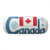 Canada National Flag Blue Pattern Glasses Case Eyeglasses Hard Shell Storage Spectacle Box