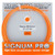 Signum Pro Hextreme 1.30 Tennis String -Orange-