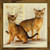 RIOLIS 1671 - Abyssinian Cats - Counted Cross Stitch Kit 15.75"x15.75"  Zweigart 10ct. Flaxen AIDA 22 Colors