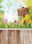6x9ft Happy Easter Photo Backdrops for Pictures Spring Natural Scenery Flowers Photography Background for Easter Decoration Photo Booth Studio Props FHJ-021